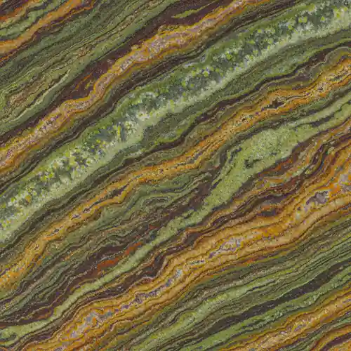 Textura de Rain Forest